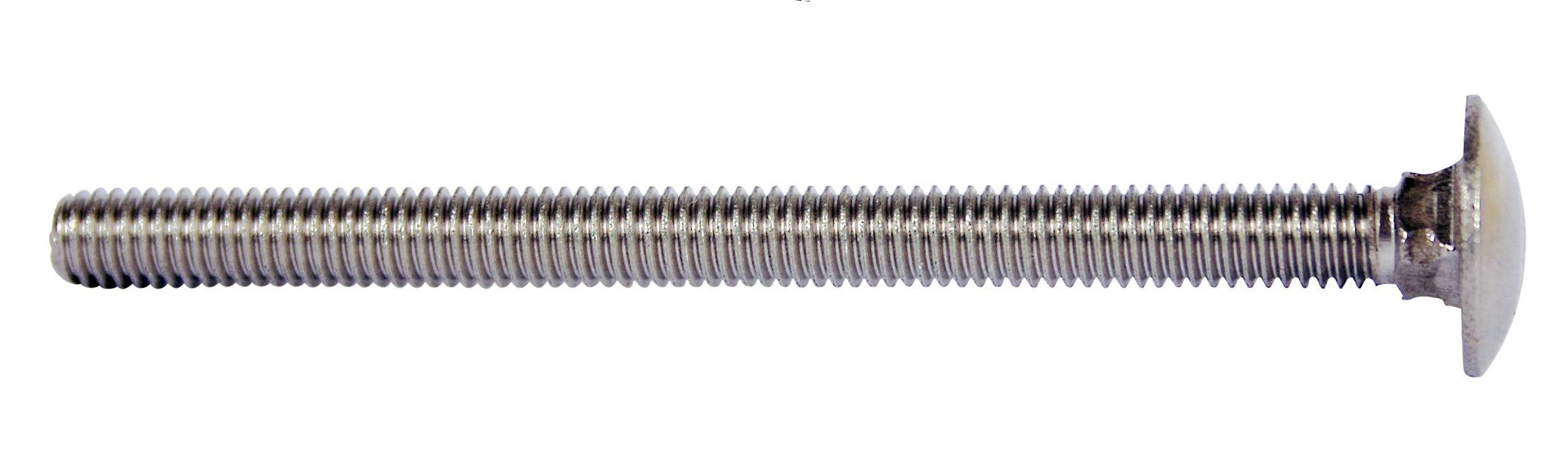 A2 Stainless Steel Cup Square Bolts