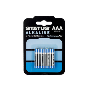 AAA Batteries (pack of 4)