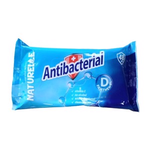Antibacterial Wipes (Pack of 48)